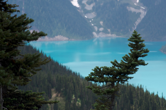 Garibaldi Lake