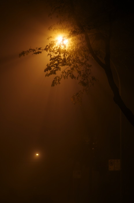 Foggy Street Light