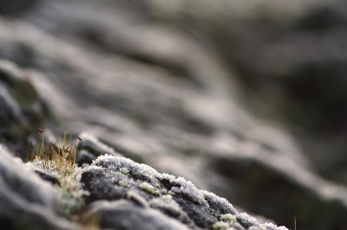 Frosty Rocks