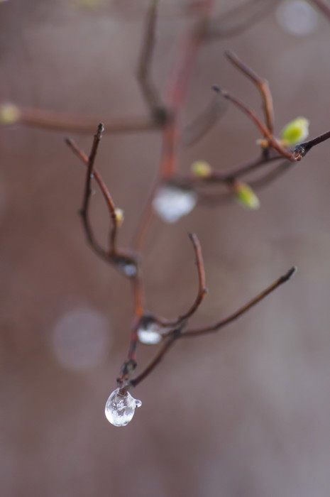 Frozen Drop