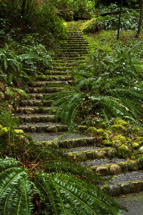 Stone Steps