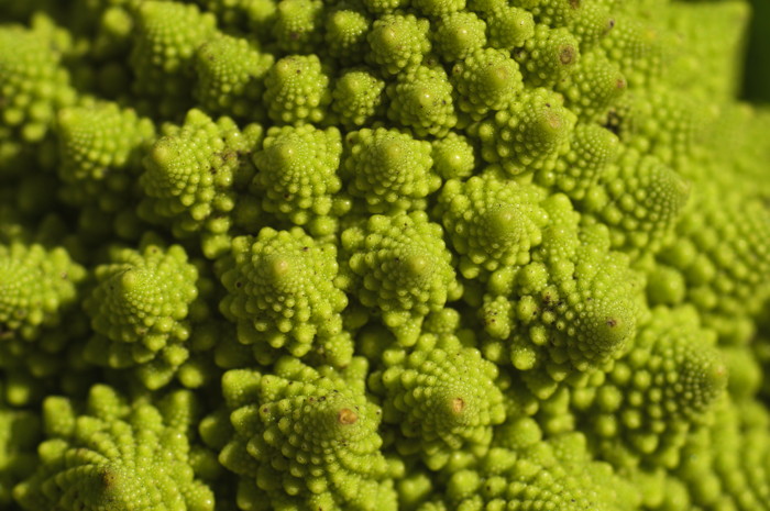 Romanesque Cauliflower