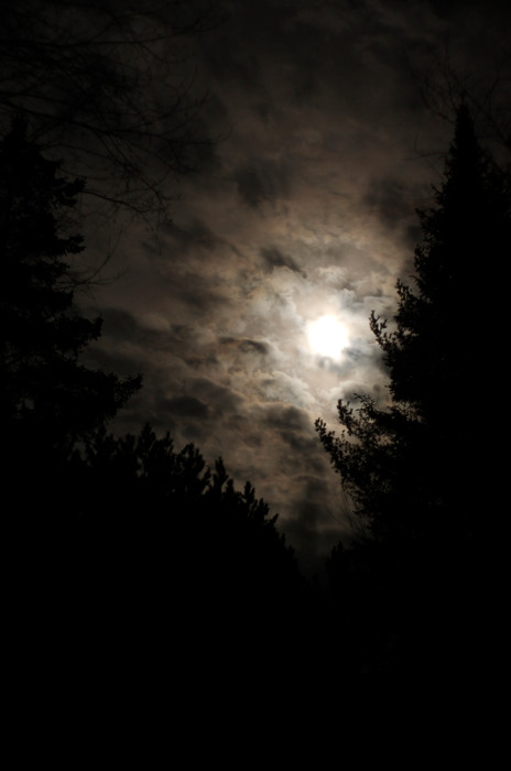 The Moon