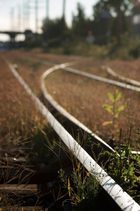 By The Tracks