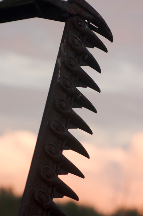 Rusty Teeth