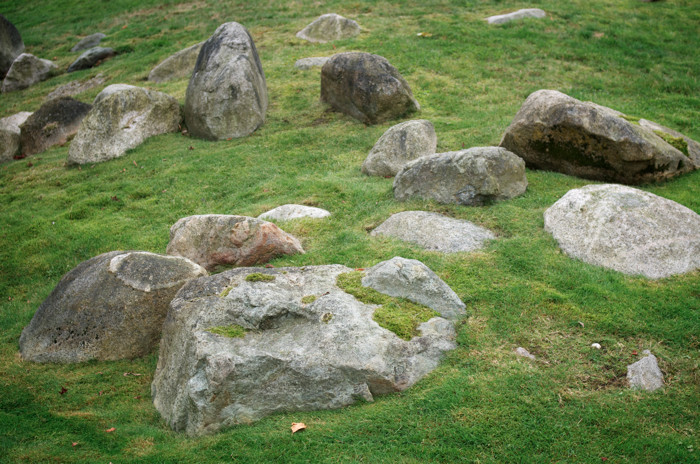 Rocks