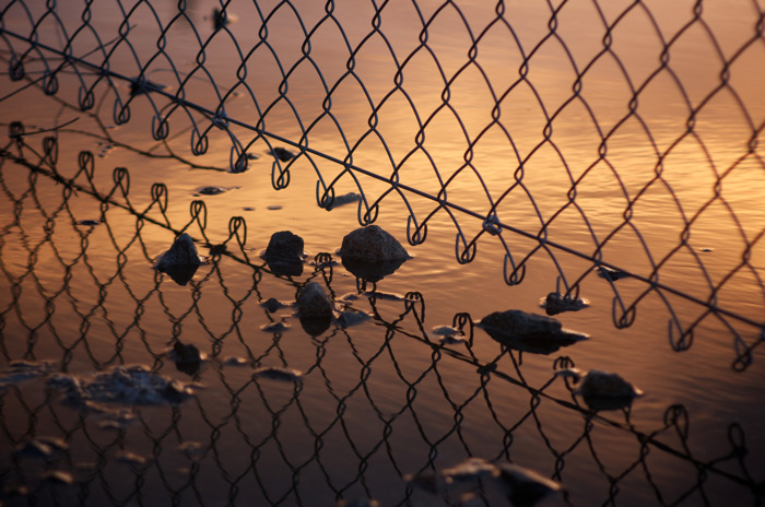 Fence Reflection