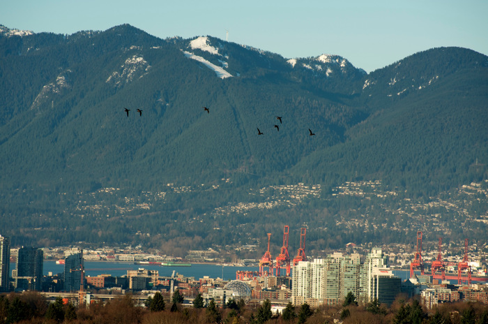 Flying Over Vancouver