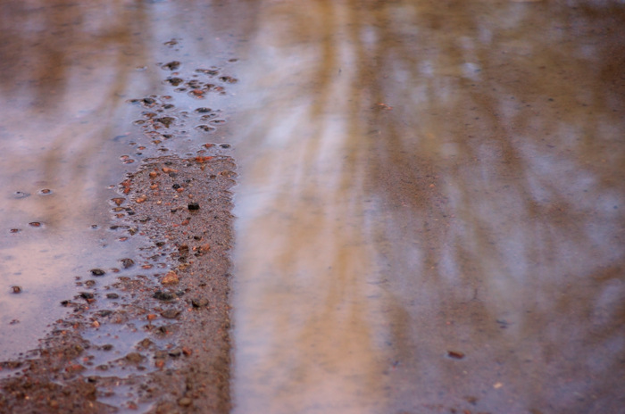 Rutty Puddle