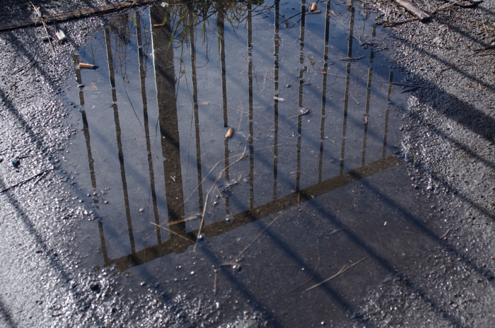 Puddle