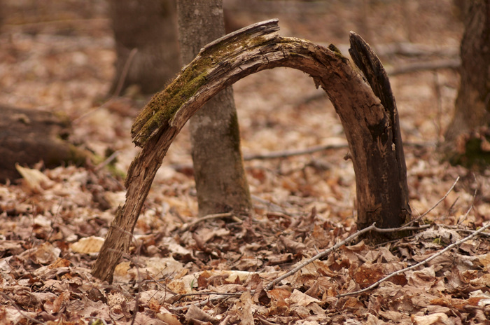 Wooden Arch