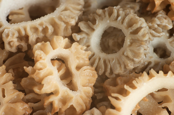 Sliced Morels