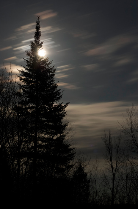 Night Sky