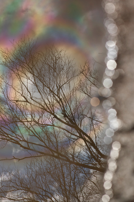 Puddle